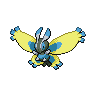 Mothim